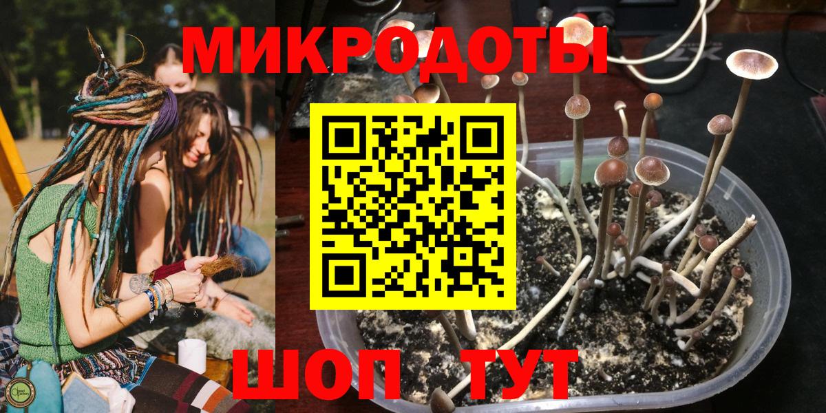 Псилоцибиновые грибы ЛСД Качканар